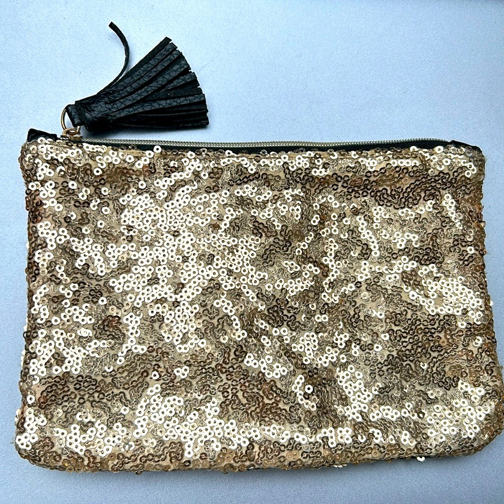 IPSY bag -- can be used for change, makeup etc.